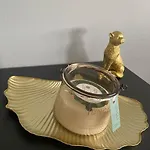 Boho Mit Eigenem Garten Naehe Salzburg Appartement