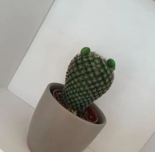 Boho Mit Eigenem Garten Naehe Salzburg Lägenhet Freilassing